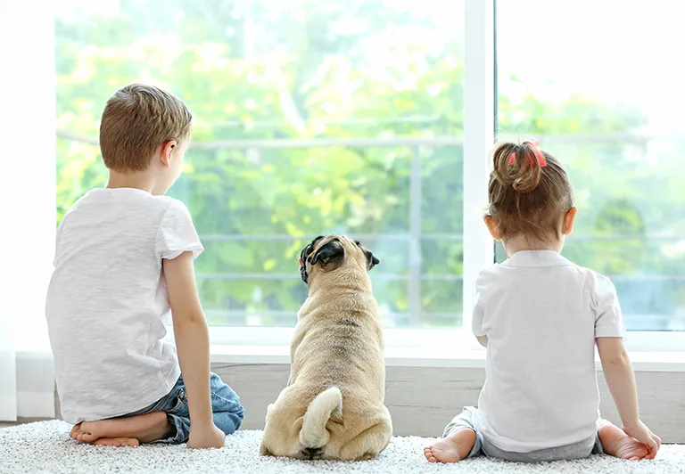 boy and girl with puppy looking out a window